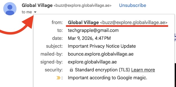 How to reveal the real sender email address in Gmail